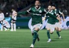 Possível saída da Sportingbet coloca patrocínio do Palmeiras no centro das atenções